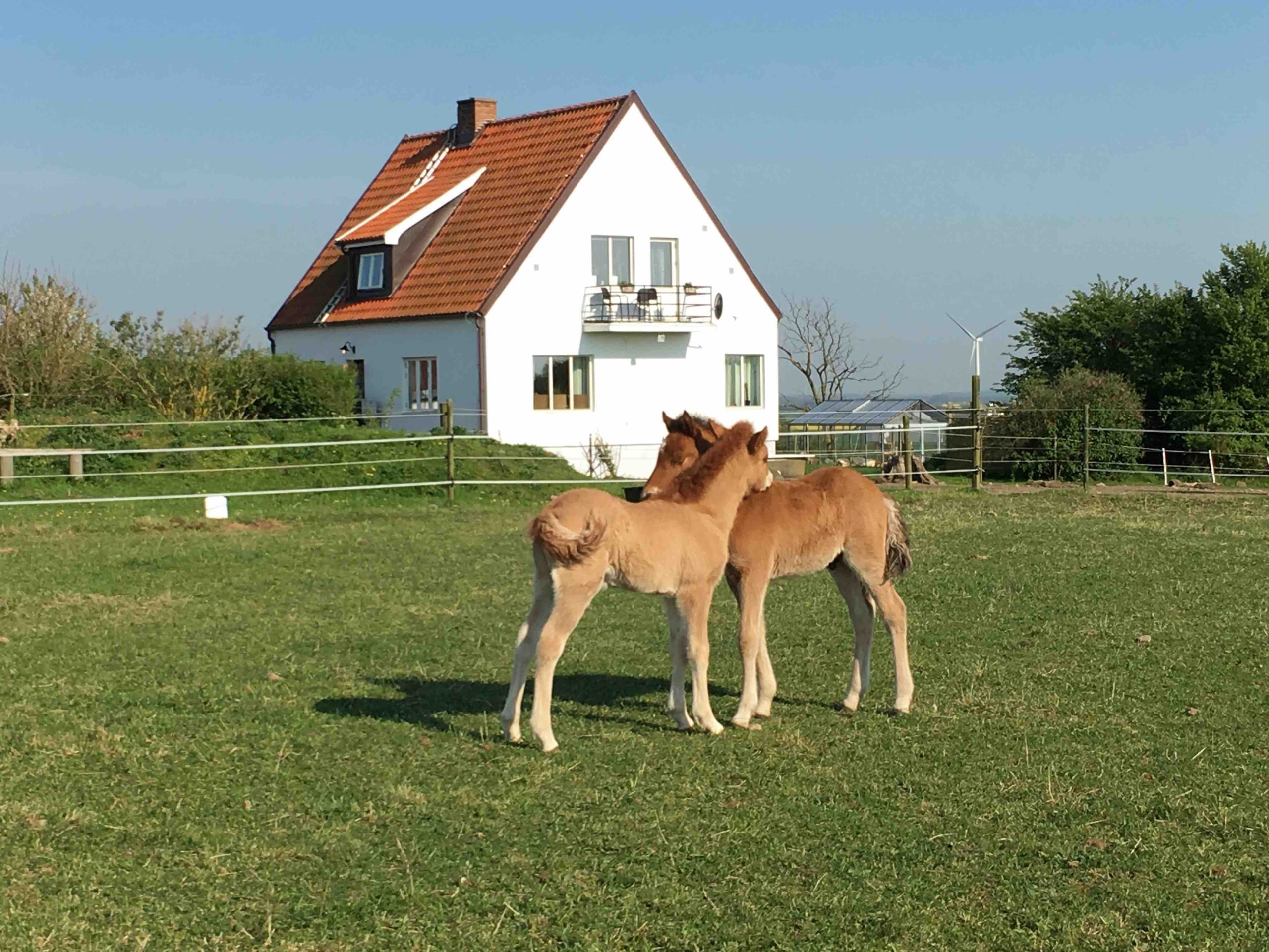 NUR NaturUnderstödd Rehabilitering!!